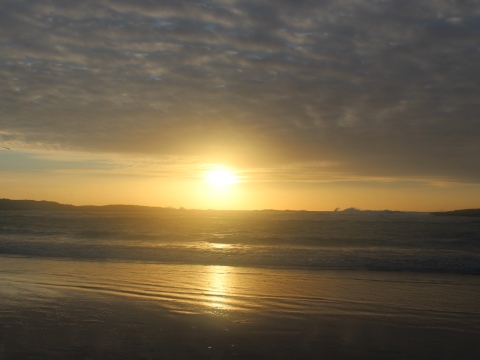 564. פרשת שמות – בתיה בת פרעה