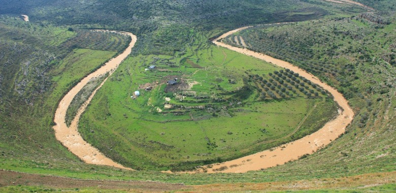 האקורדיון הישראלי