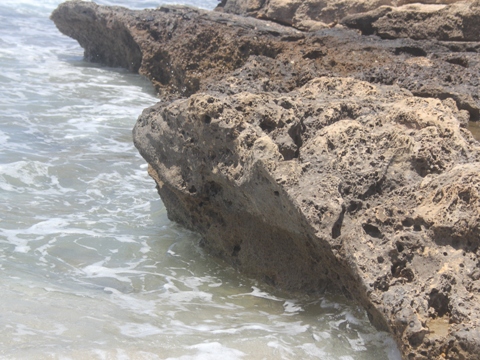 פרשת חיי שרה – שונא מתנות יחיה